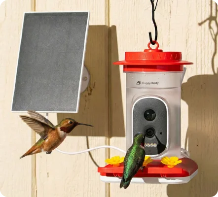 Smart Camera Feeder