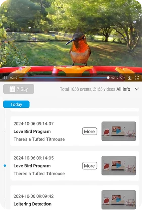 3. Enjoy Birdwatching