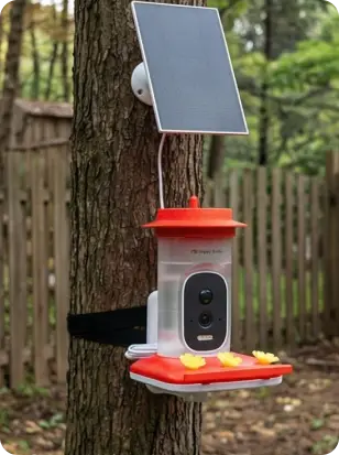 Card user review image