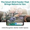 WuzuTech Happy Birdy