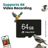 WuzuTech Happy Birdy 64GB SD Card