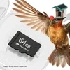 WuzuTech Happy Birdy 64GB SD Card