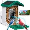 WuzuTech Happy Birdy
