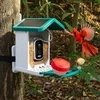 WuzuTech Happy Birdy
