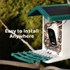 WuzuTech Happy Birdy